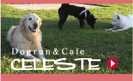 �h�b�O������ ���ƈꏏ�ɓ����J�t�F CELESTE