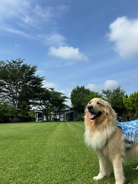 B&S コーチングガーデン チェレステ ドッグランで愛犬と過ごす