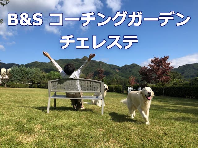 コーチングガーデン チェレステ